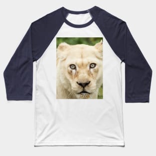 Albino lioness in the wild Baseball T-Shirt